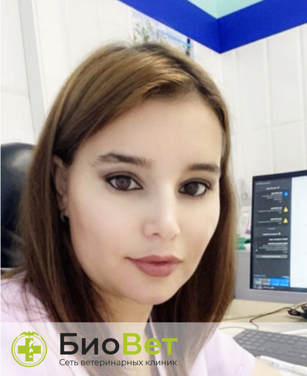 Абдуллоева Тина Довутбековна — терапевт, ветеринарный врач БиоВет