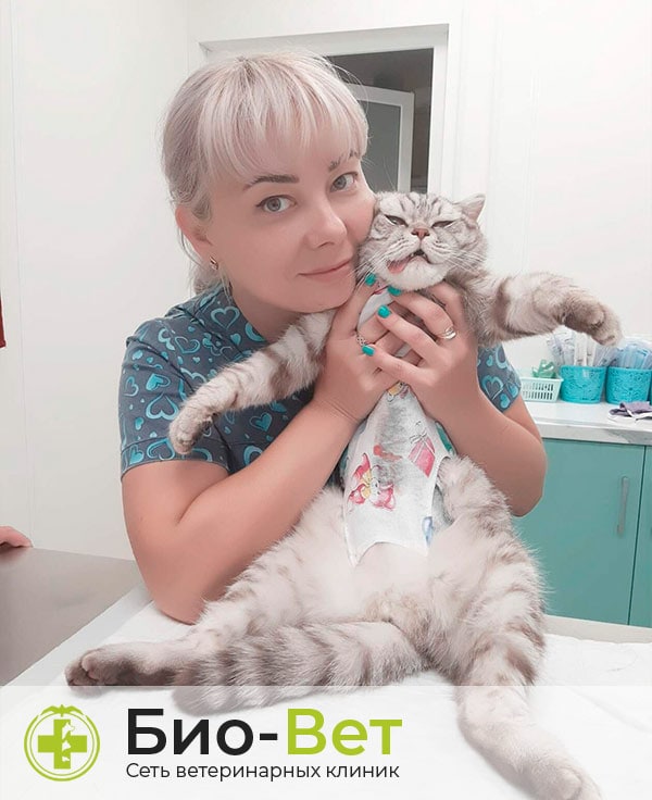 Кирюшкина Екатерина Сергеевна — терапевт, ветеринарный врач БиоВет