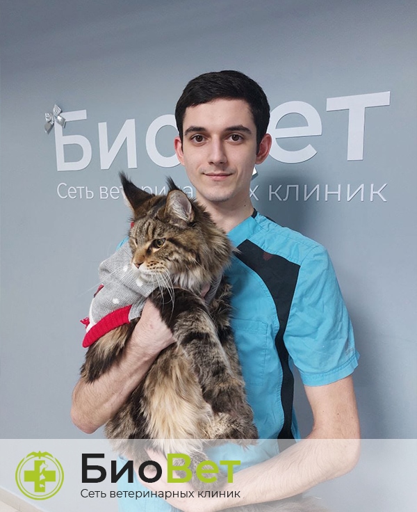 Класханов Гаджи Арсаналиевич — терапевт, ветеринарный врач БиоВет