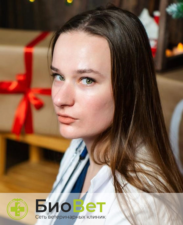 Комарова Полина Кирилловна — терапевт, ветеринарный врач БиоВет