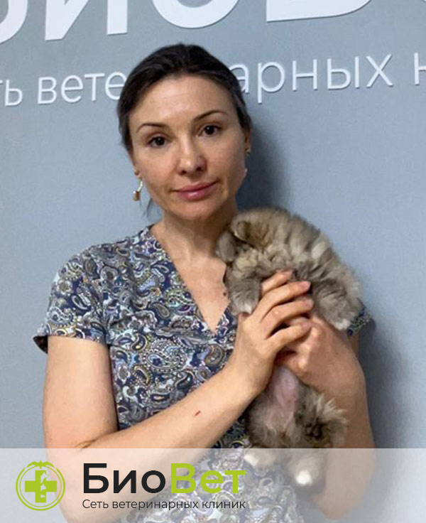 Костенюк Ольга Николаевна — терапевт, ветеринарный врач БиоВет