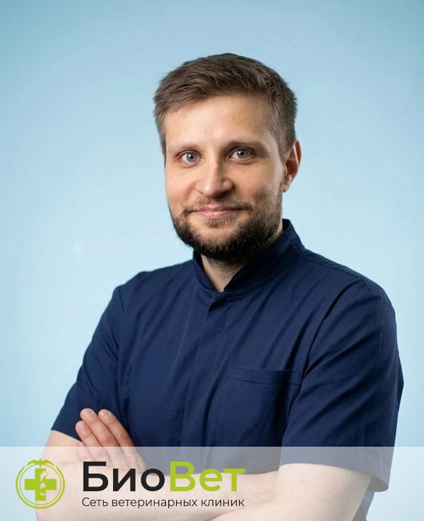 Кузнецов Сергей Михайлович — терапевт, ветеринарный врач БиоВет