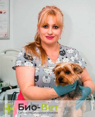 Мажулина Лариса Николаевна — терапевт, ветеринарный врач БиоВет