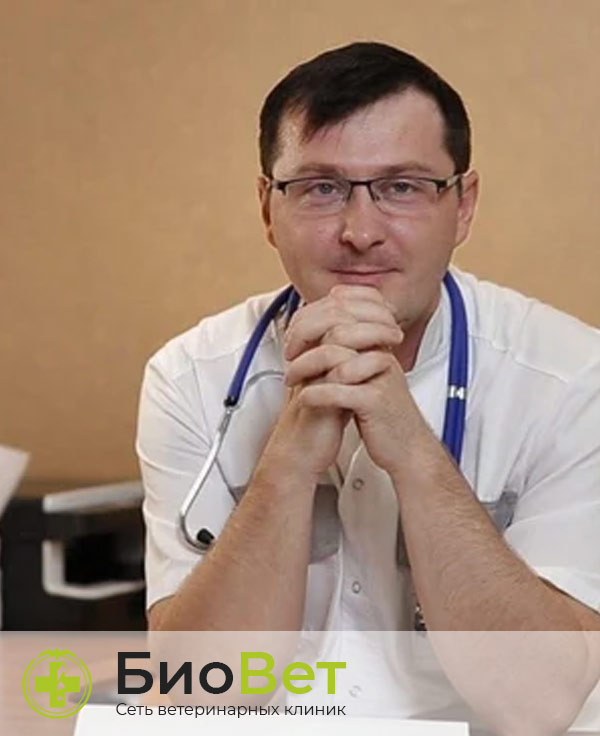 Медников Александр Михайлович — терапевт, ветеринарный врач БиоВет