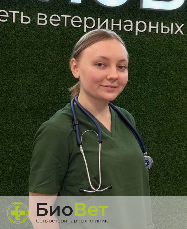 Несмеянова Наталья Сергеевна — терапевт, ветеринарный врач БиоВет