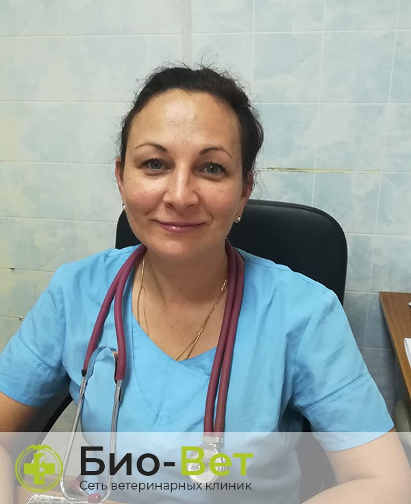 Семенова Мария Викторовна — терапевт, ветеринарный врач БиоВет