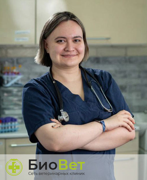 Титовка Майя Владиславовна — терапевт, ветеринарный врач БиоВет