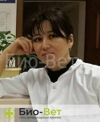 Ванюцай Татьяна Юрьевна — терапевт, ветеринарный врач БиоВет